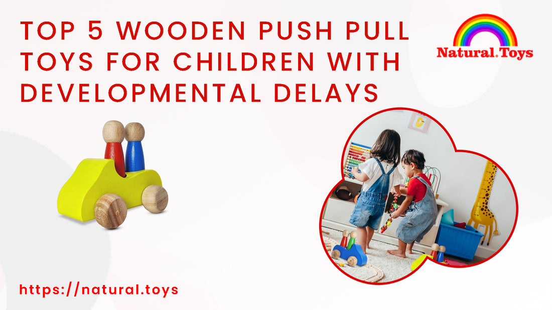 Top 5 Wooden Push Pull Toys for Children with Developmental Delays
