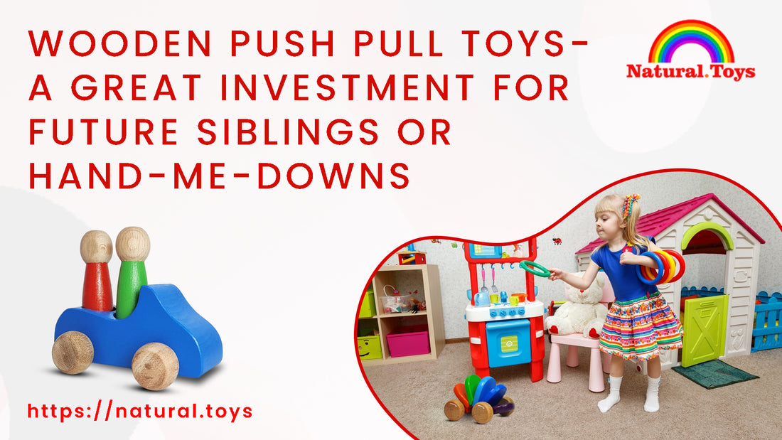 Wooden Push Pull Toys: A Great Investment for Future Siblings or Hand-Me-Downs