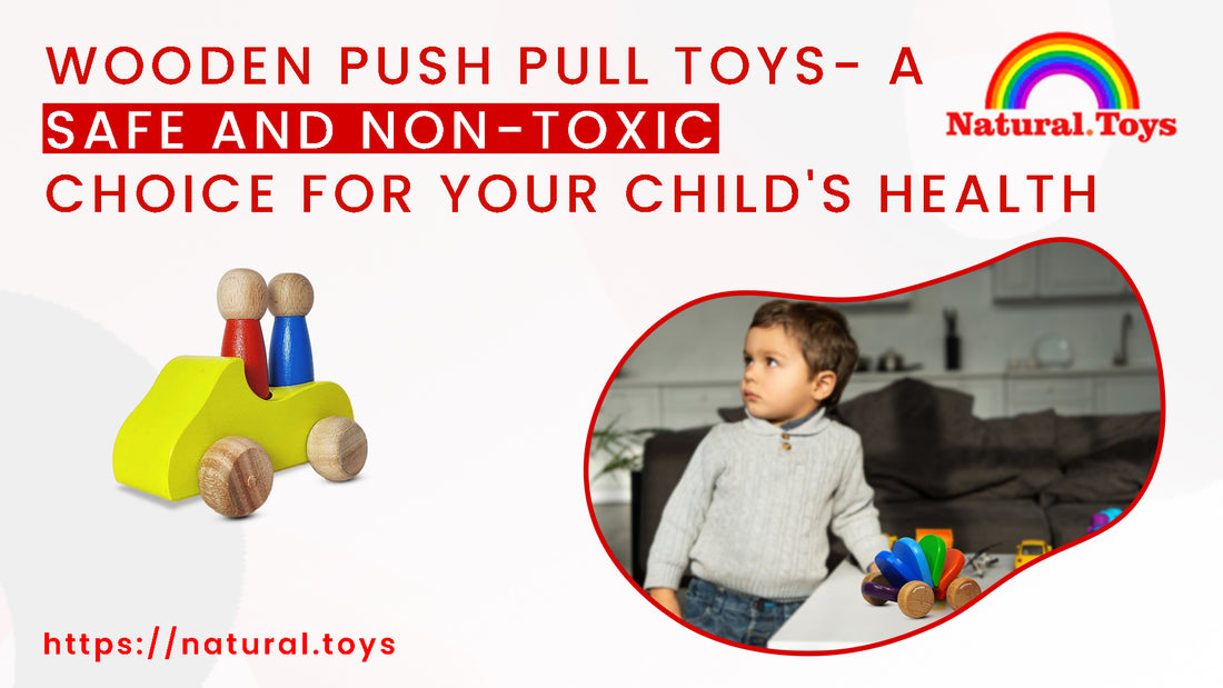 Wooden Push Pull Toys: A Safe and Non-Toxic Choice for Your Child's Health
