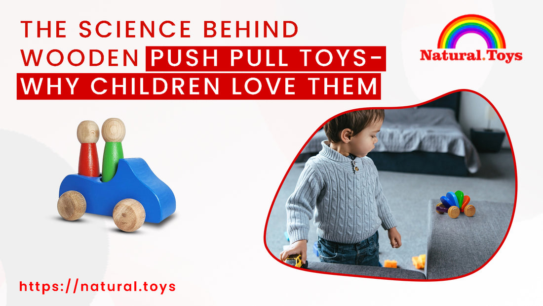 The Science behind Wooden Push Pull Toys: Why Children Love Them