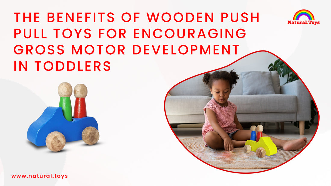 Push and pull toys for clearance toddlers