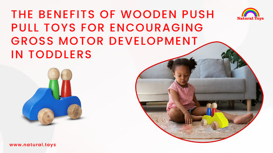 The Benefits of Wooden Push Pull Toys for Encouraging Gross Motor Development in Toddlers